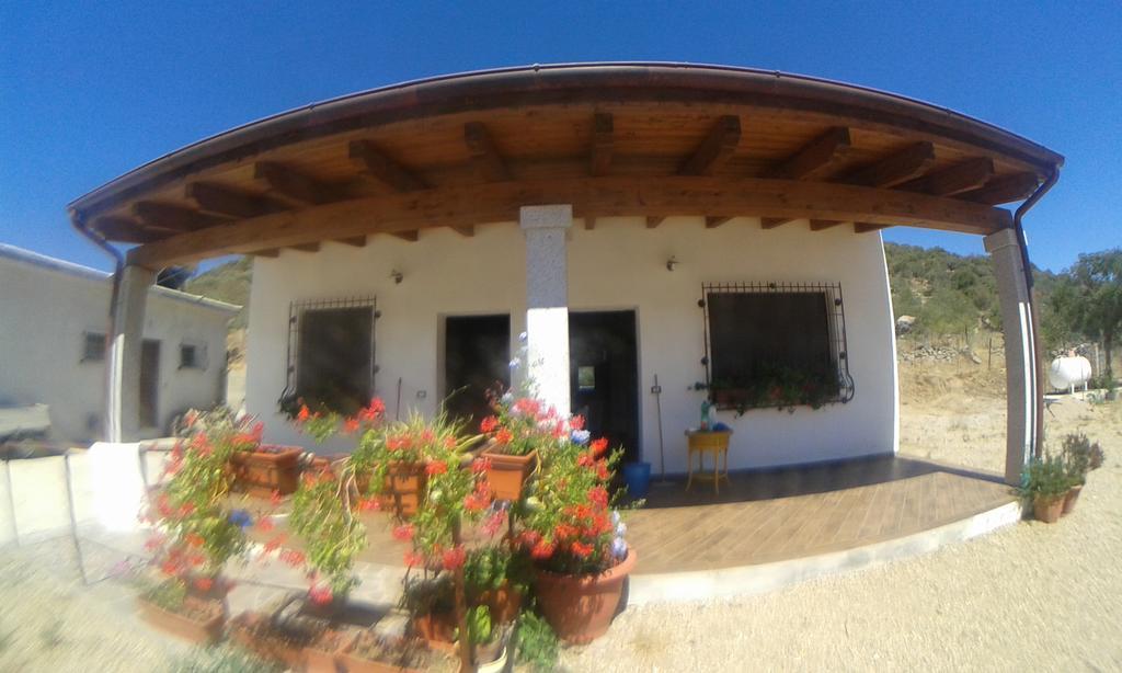 Agriturismo Locoe Oliena Exterior foto
